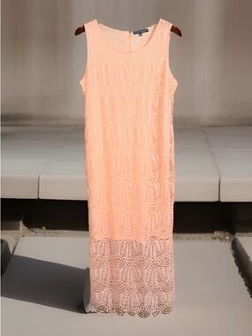 NWT Sharagano Petites Peach Lace Overlay Sleeveless Maxi Dress - 12P